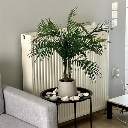 Tiny Loft In شقة أرغوستولي