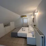 Apartment Tiny Loft In